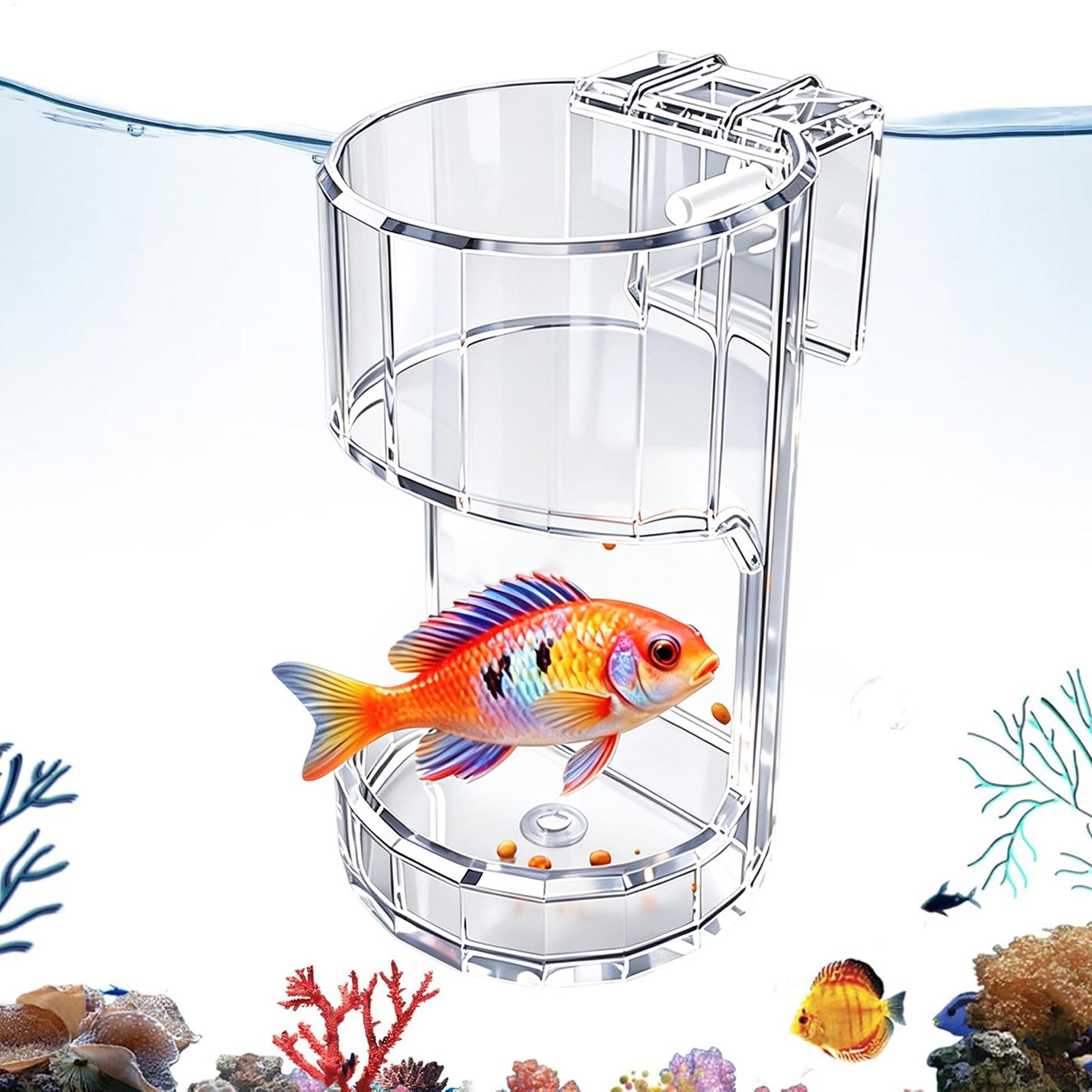 Marine Aquarium Live - Aquarium Voerschaal Transparante Voedselkom Houder Container