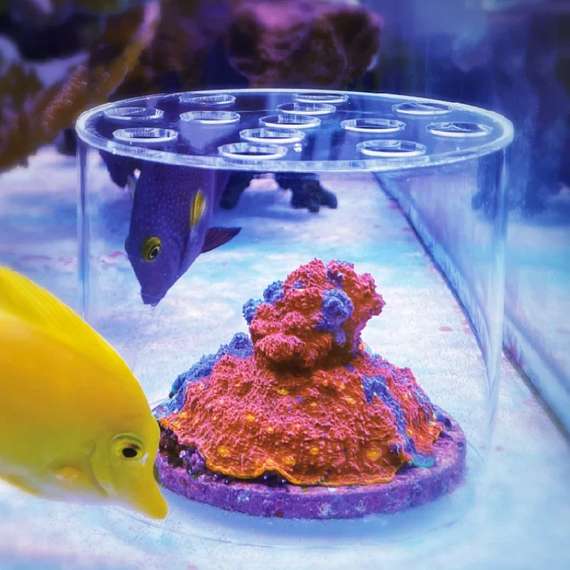 Coral Frag Plug - Vastocean Aquarium Acryl Koraal Feeder Kap