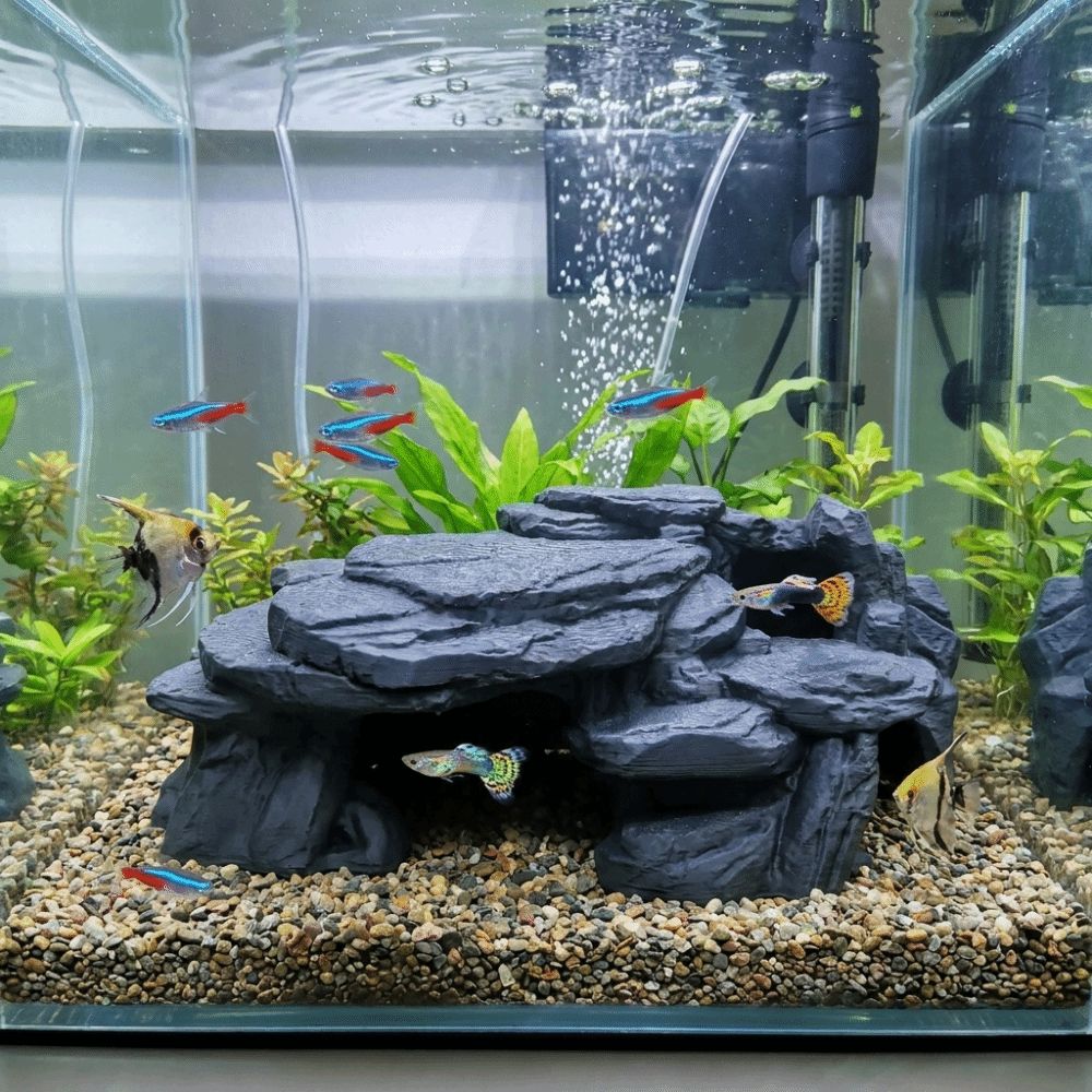 3D-geprinte visbakrotsornament - Aquarium Marine Rock recensie en prijs