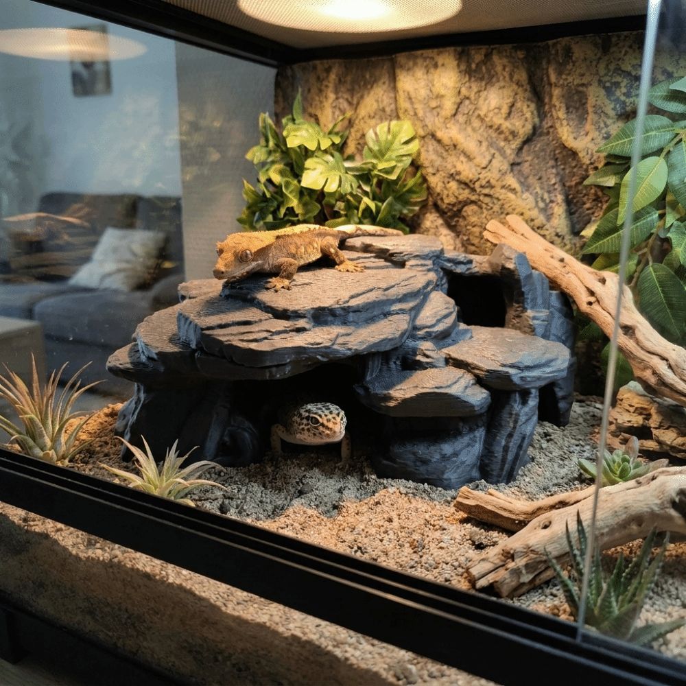 3D-geprinte visbakrotsornament - Aquarium Marine Rock recensie en prijs