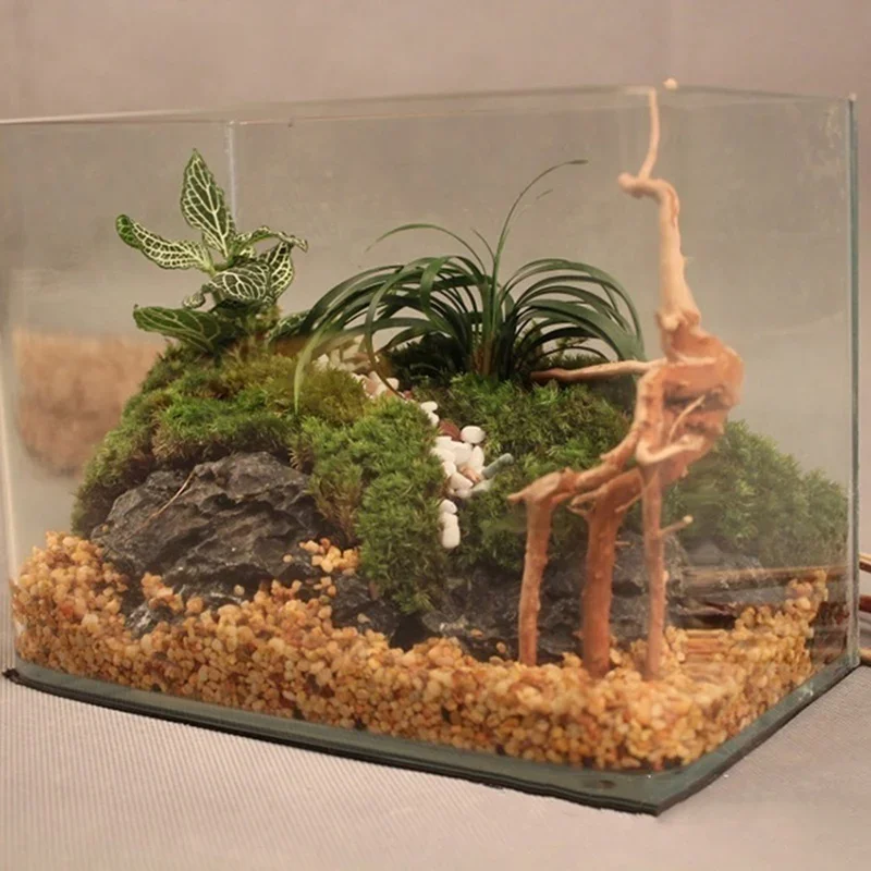 Natuurlijke Boomstam Drijfhout - Aquarium Marine Rock recensie en prijs