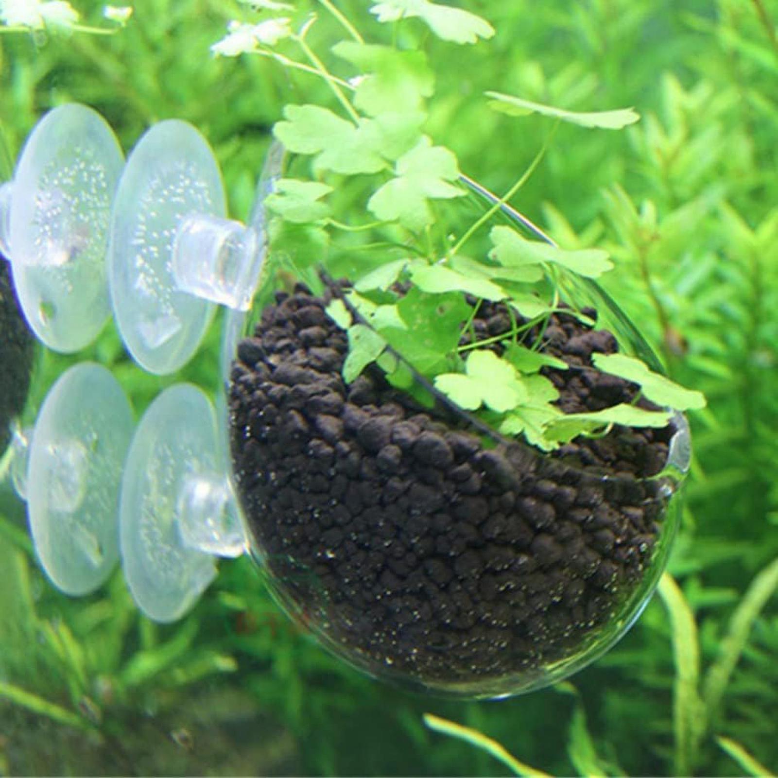 Aquariumplantenhouder Glazen A - Marine Aquarium Live recensie en prijs