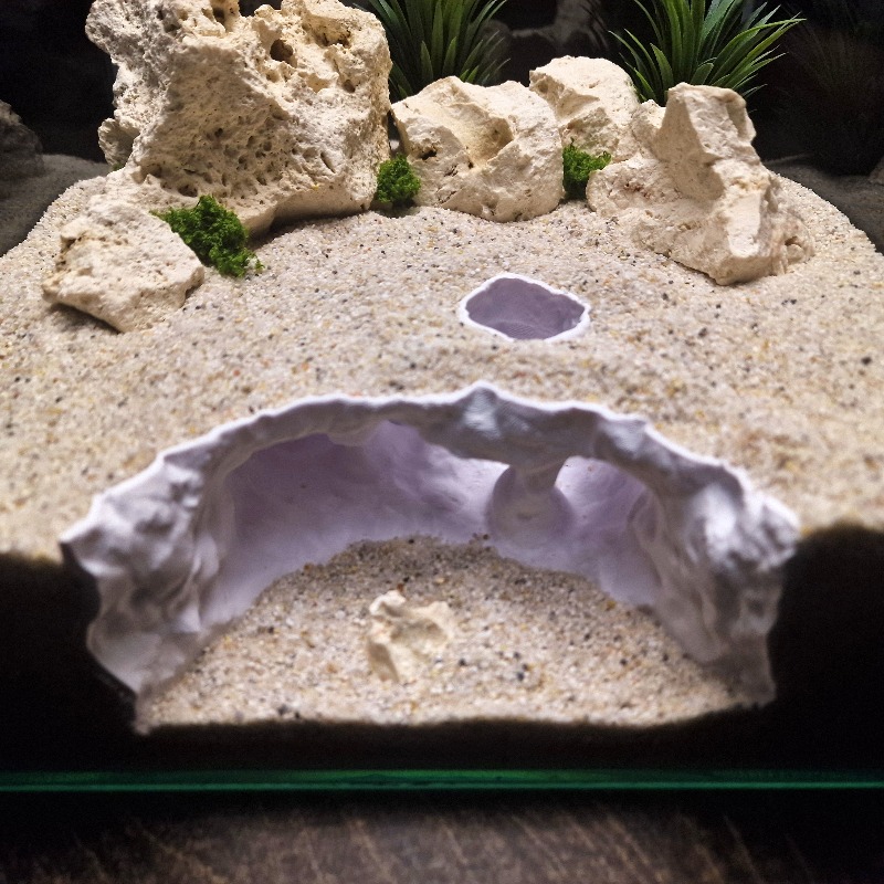 3D Gedrukt Gevorkte Grot Aquar - Aquarium Marine Rock recensie en prijs