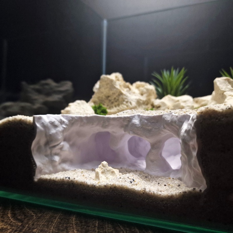 3D Gedrukt Gevorkte Grot Aquar - Aquarium Marine Rock recensie en prijs