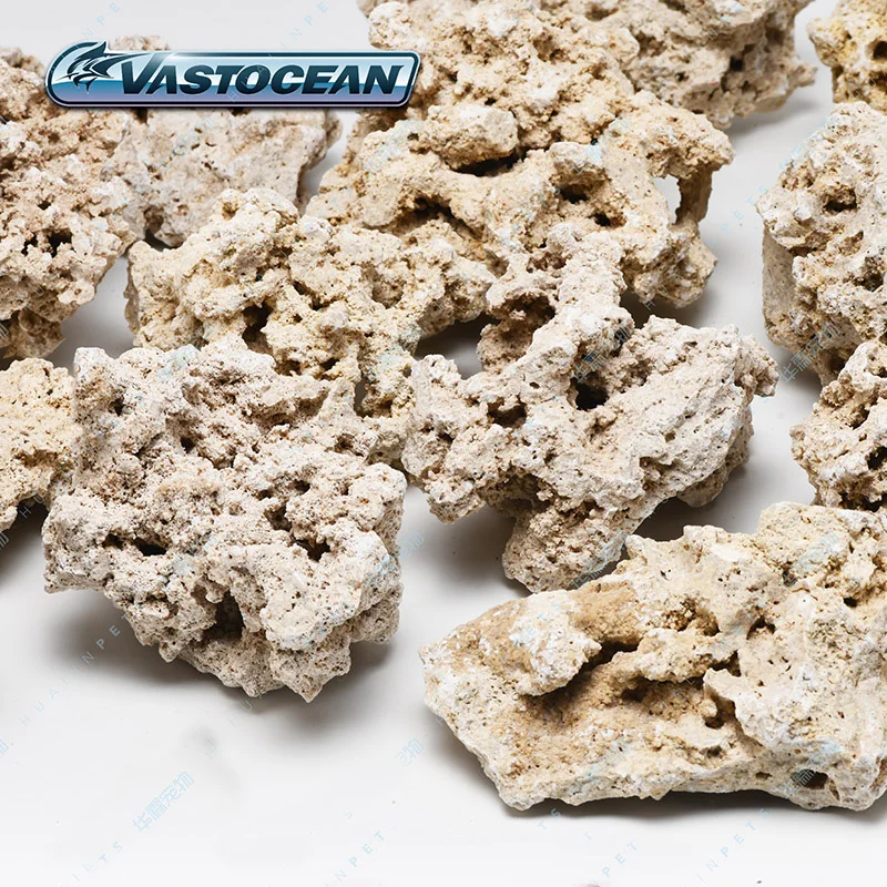 Vastecean Indonesia Java Droge - Aquarium Marine Rock recensie en prijs