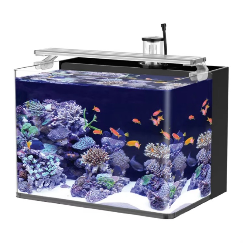 Gebogen zoutwater aquarium voo - Marine Aquarium Live recensie en prijs