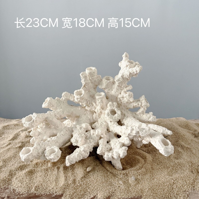 Keramische Zeeanemoon Kweekhol - Aquarium Marine Rock recensie en prijs